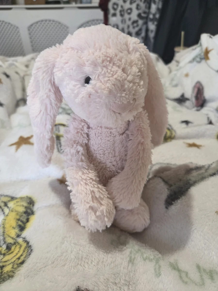 Front - Bashful Pink Bunny - Medium photo by BeatrixBunnies