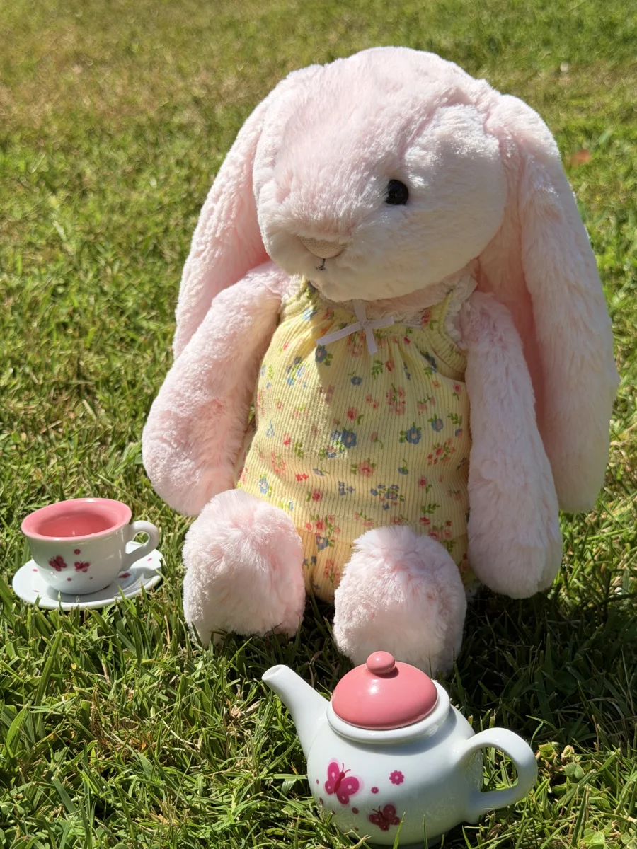Front - Bashful Pink Bunny - Medium photo by jellycatangel