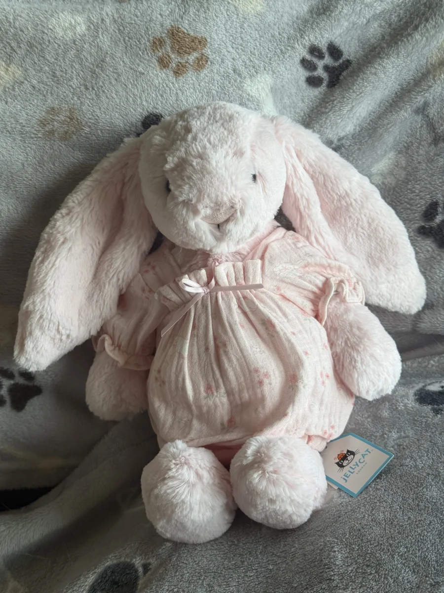 Front - Bashful Pink Bunny - Medium photo by Nella99