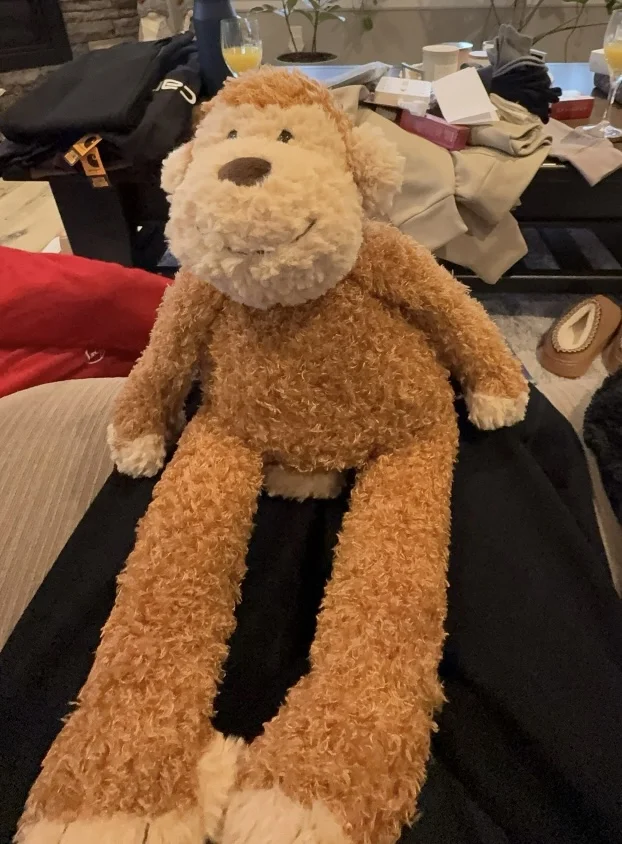 Front - Junglie Monkey photo by tjohnson1217