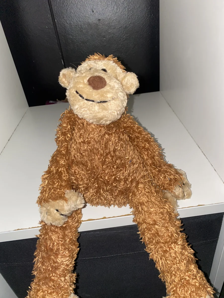 Front - Junglie Monkey photo by Harrisonmonke