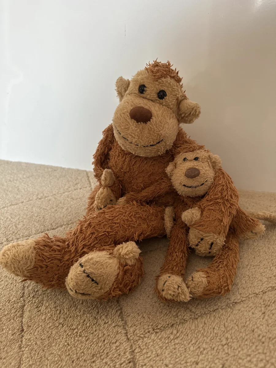 Front - Junglie Monkey photo by Jellytastic