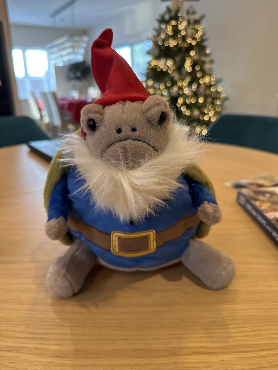 Front - Timmy Turtle 'Garden Gnome' photo by Trace