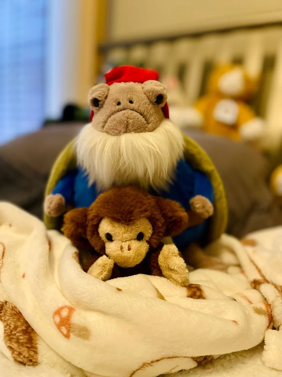 Front - Timmy Turtle 'Garden Gnome' photo by Lollysjellycats