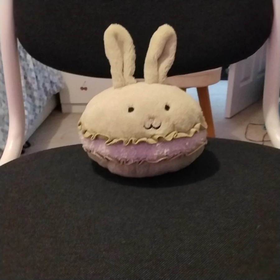 Front - Dainty Dessert Bunny Macaron photo by TheJellyCollector