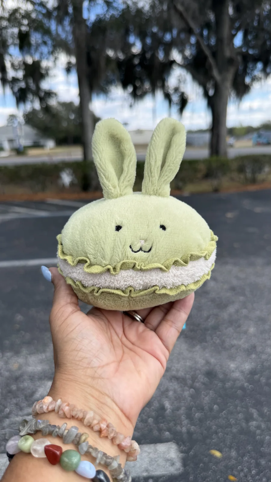 Dainty Dessert Bunny Macaron Photo by bronzieandthejellies