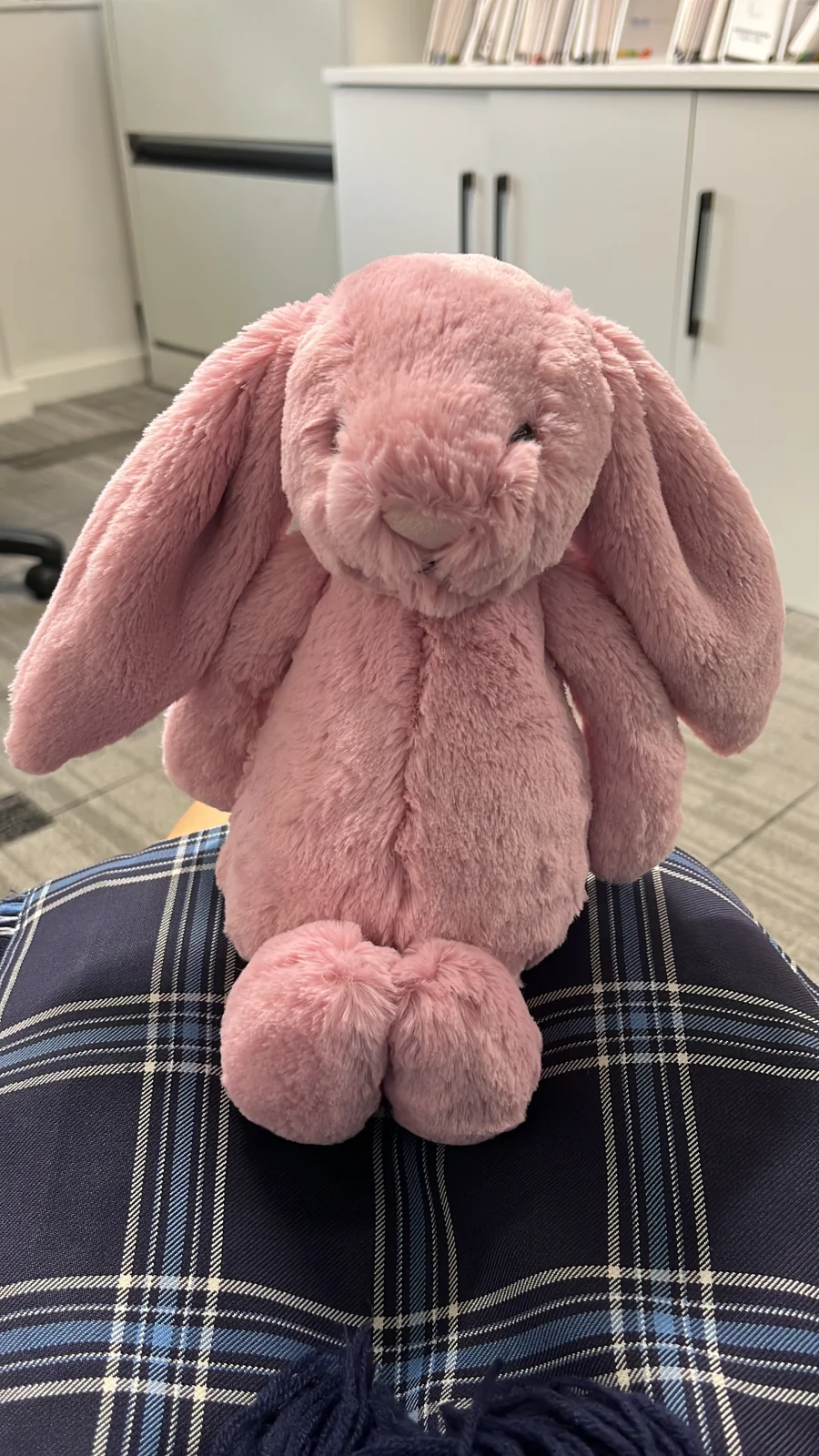 Front - Personalised Bashful Tulip Bunny Medium photo by jbroberts28