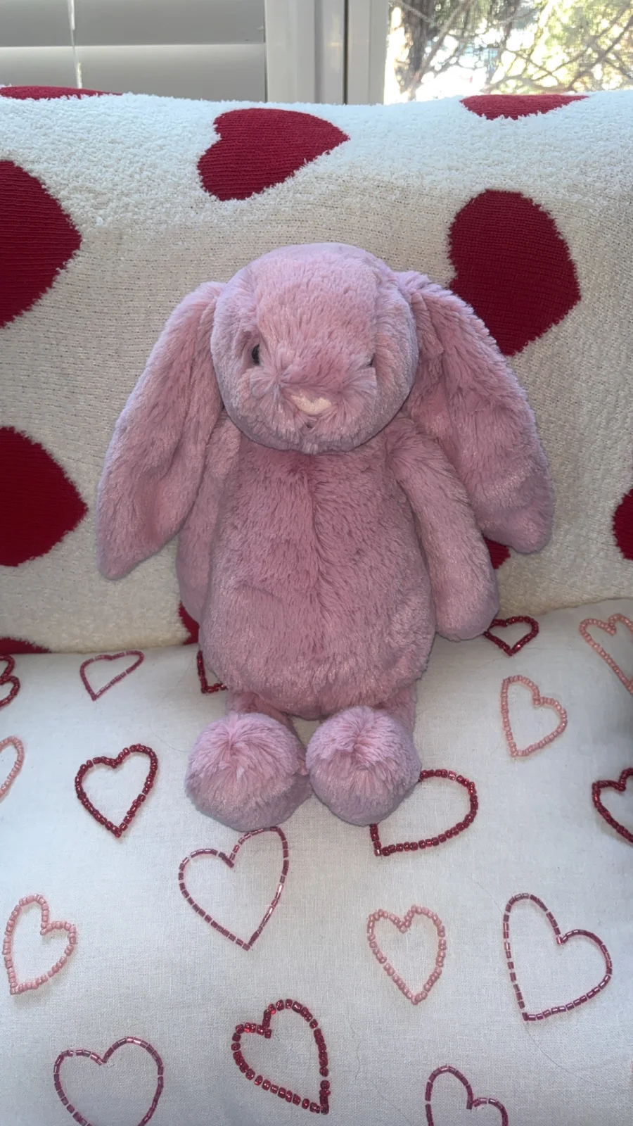 Front - Personalised Bashful Tulip Bunny Medium photo by alinsey