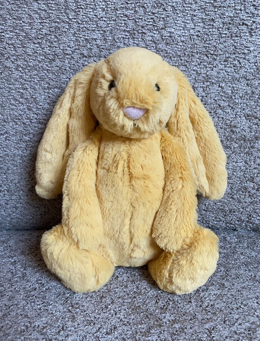 Front - Bashful Sunshine Bunny photo by JellyDragonLover