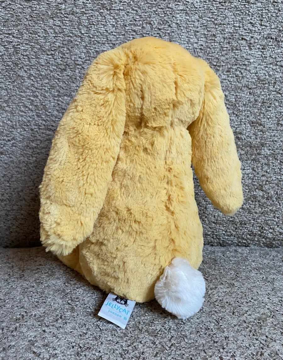 Back - Bashful Sunshine Bunny photo by JellyDragonLover