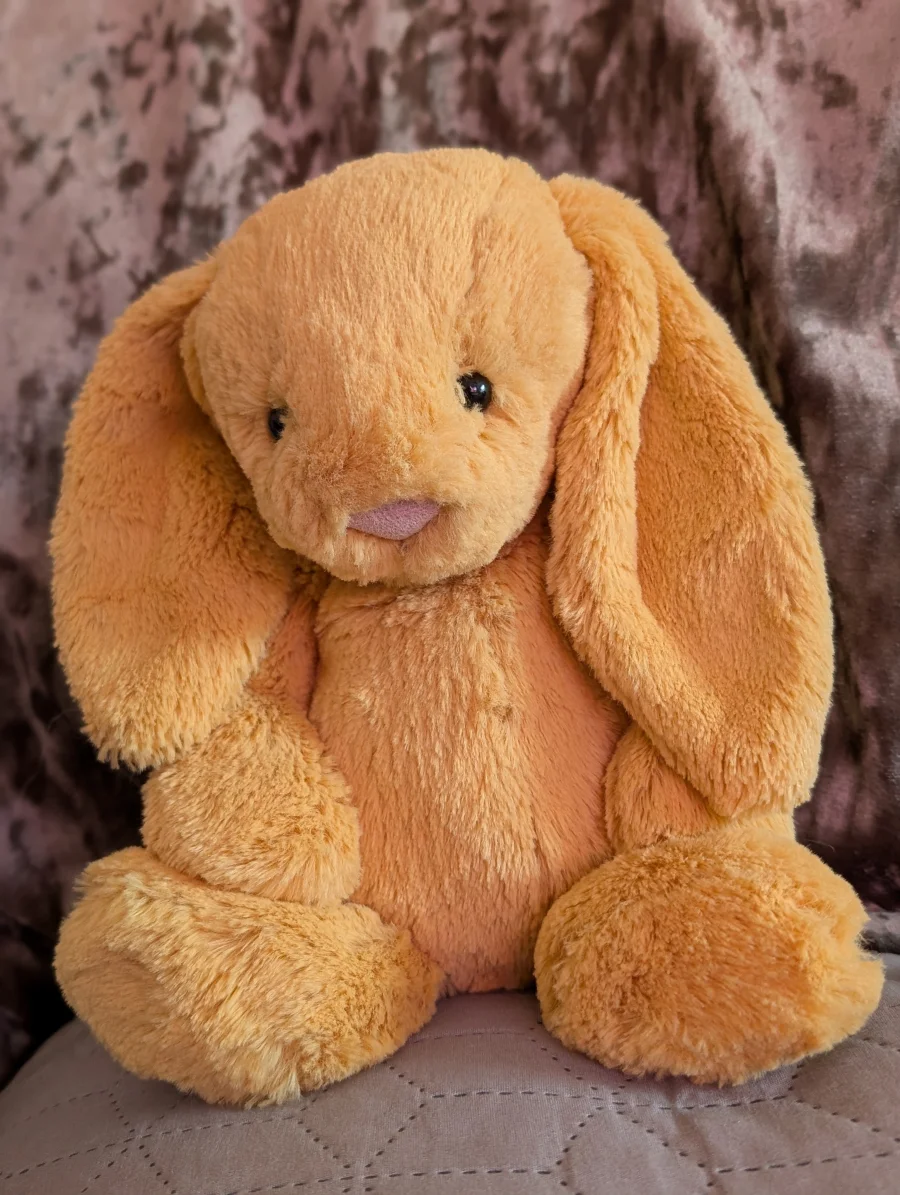 Front - Bashful Sunshine Bunny photo by Jelly_shebear