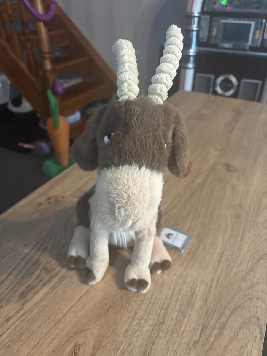 Front - Glenny Goat photo by CharlieP