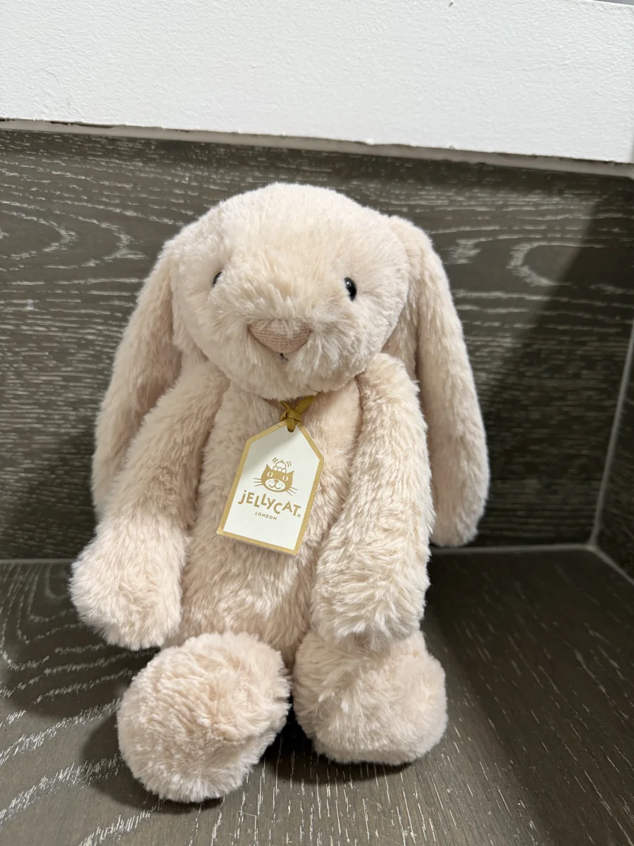 Front - Bashful Luxe Bunny Willow photo by ilovepooches025