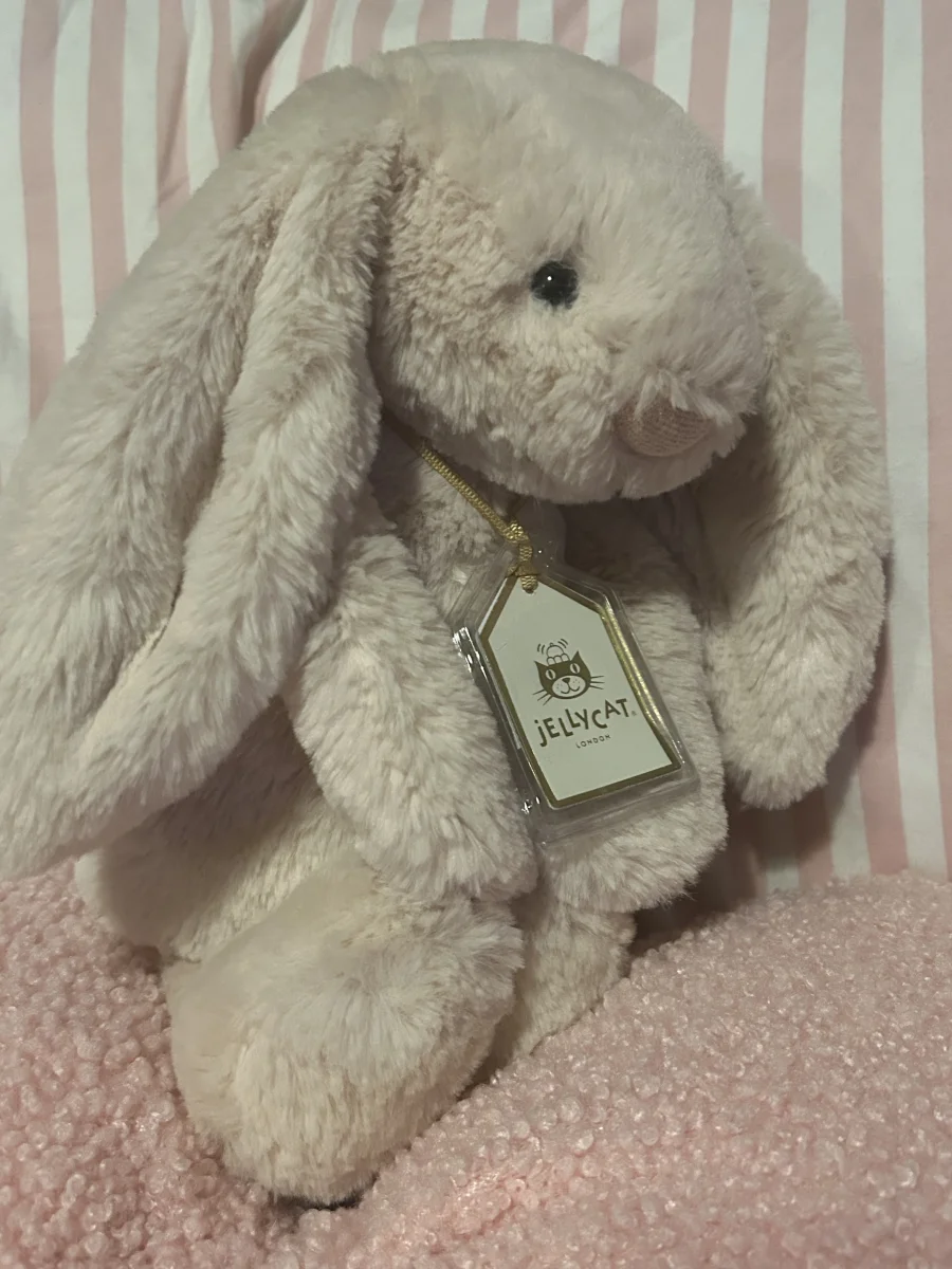 Side - Bashful Luxe Bunny Willow photo by Jellycat_Joy<3