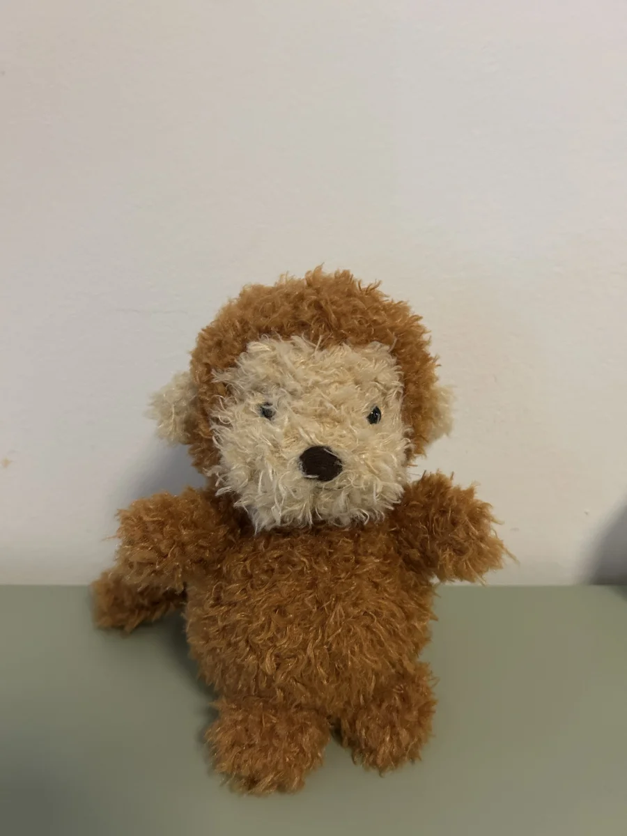 Front - Little Monkey photo by Martineee