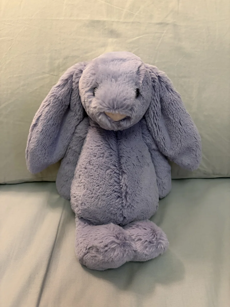 Front - Bashful Viola Bunny photo by twigletfitz