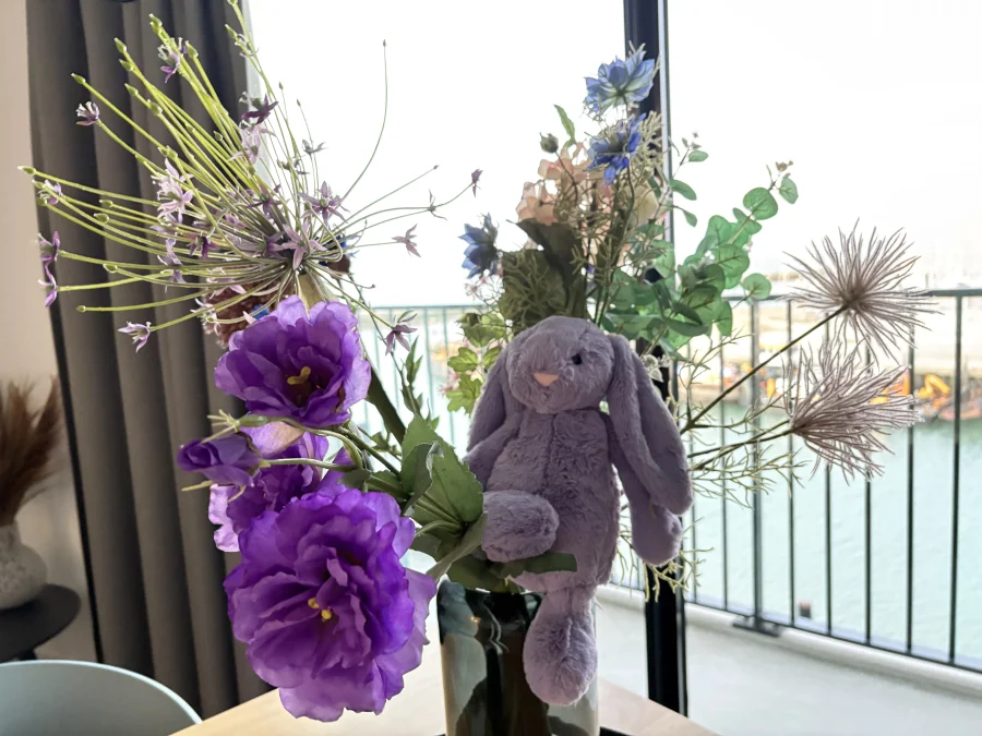 Front - Bashful Viola Bunny photo by emiandjellyy
