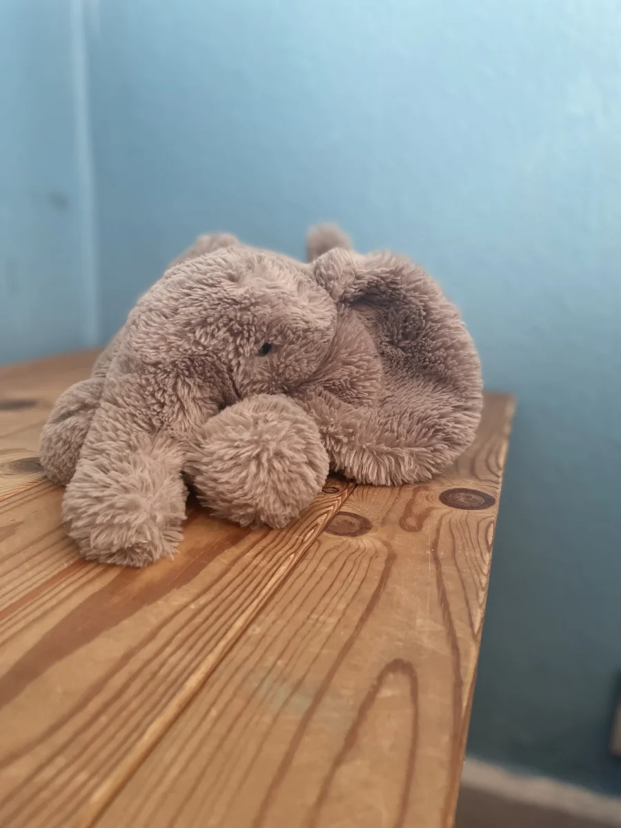 Front - Smudge Elephant - Medium photo by cerys.lyne
