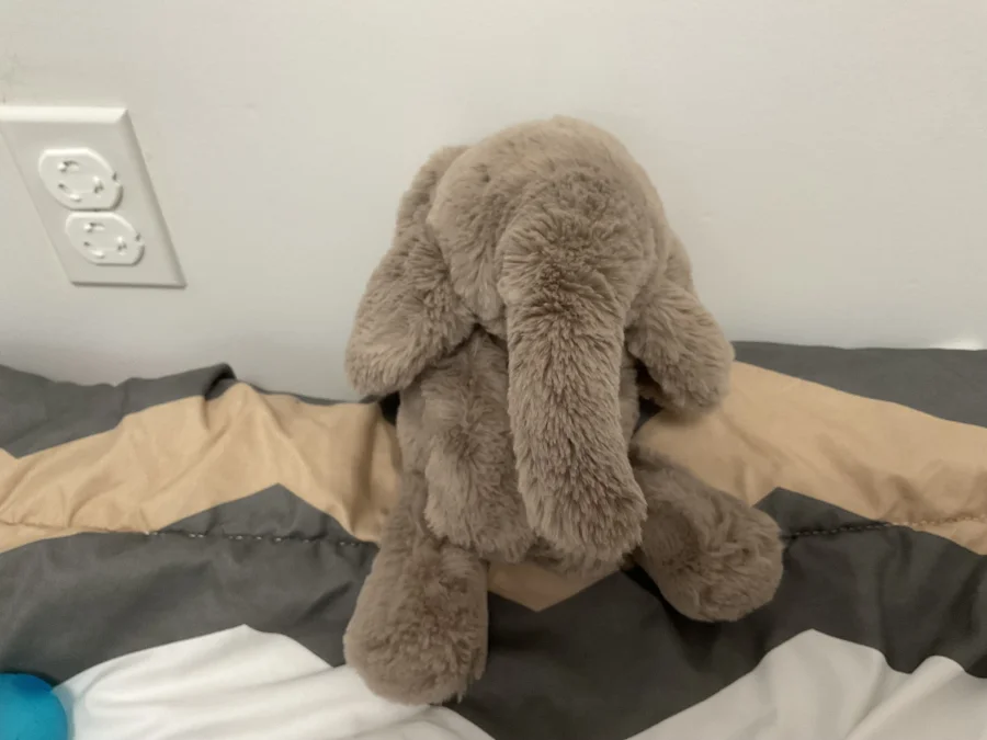 Front - Smudge Elephant - Medium photo by kaylajellyegg