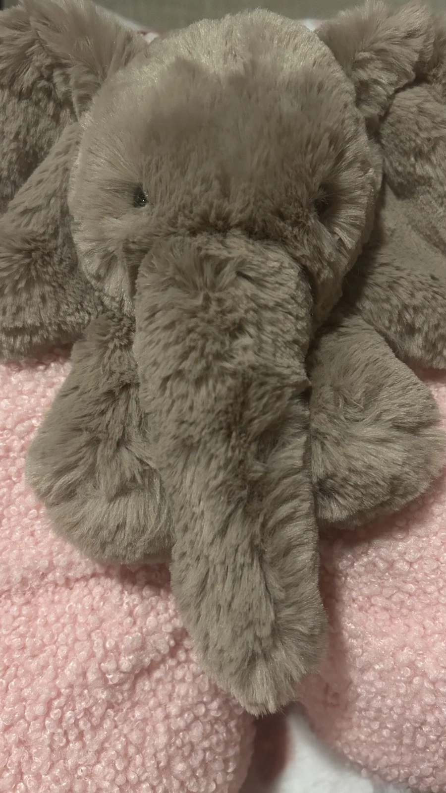 Front - Smudge Elephant - Medium photo by Jellycat_Joy<3