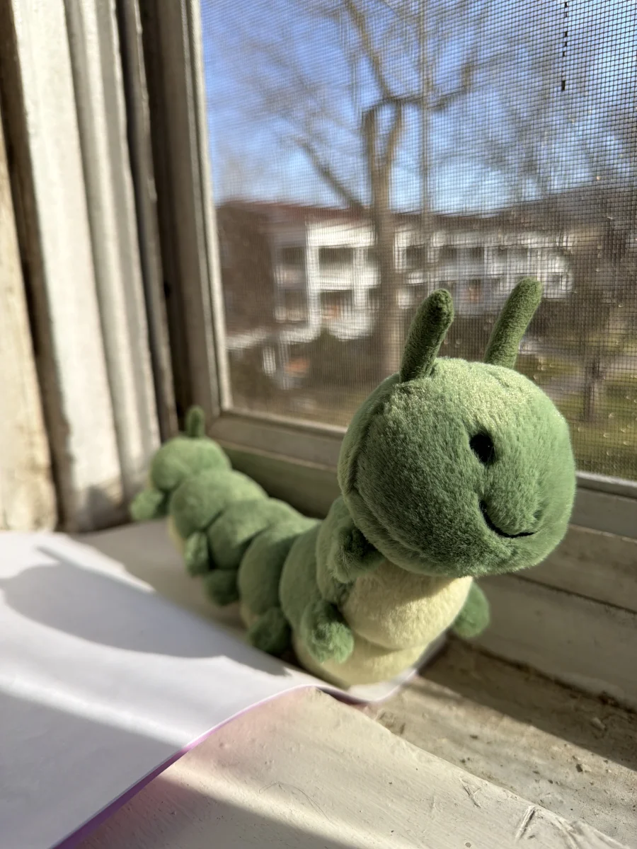 Front - Carys Caterpillar photo by katsjellies