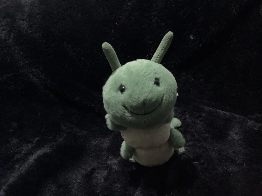 Front - Carys Caterpillar photo by Jellybunnys1984