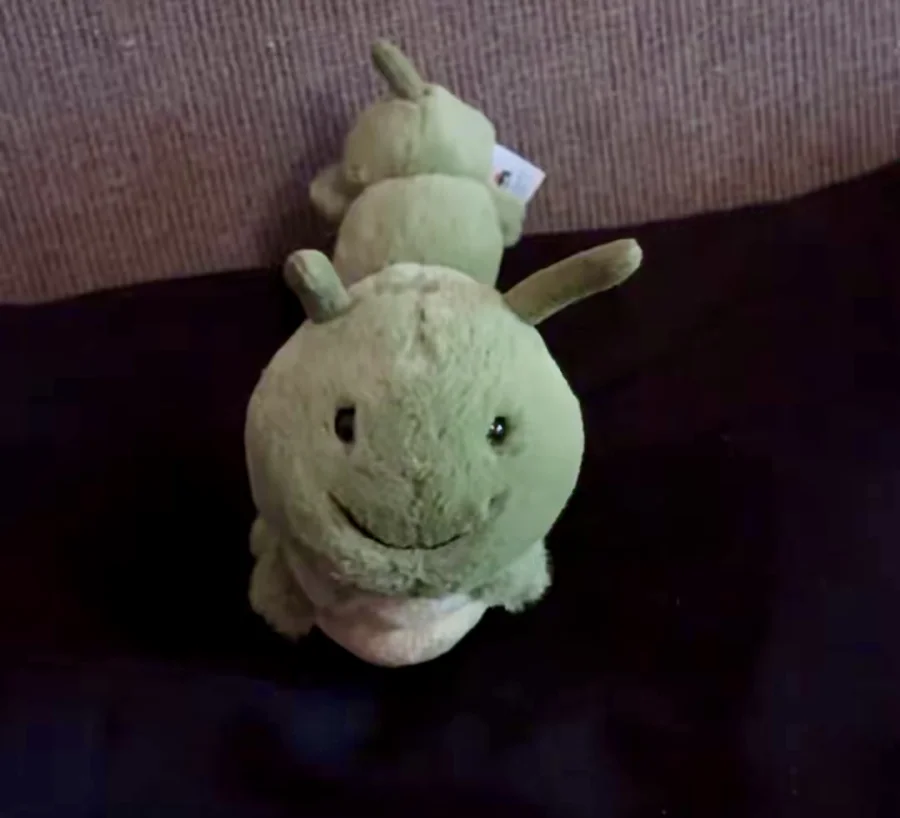 Front - Carys Caterpillar photo by emmerlyh