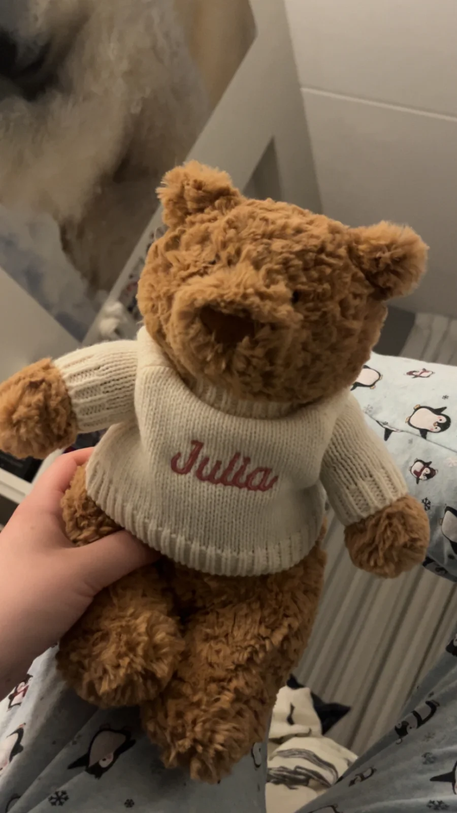 Front - Bartholomew Bear with Personalised Cream Jumper photo by j_jellycatlover!
