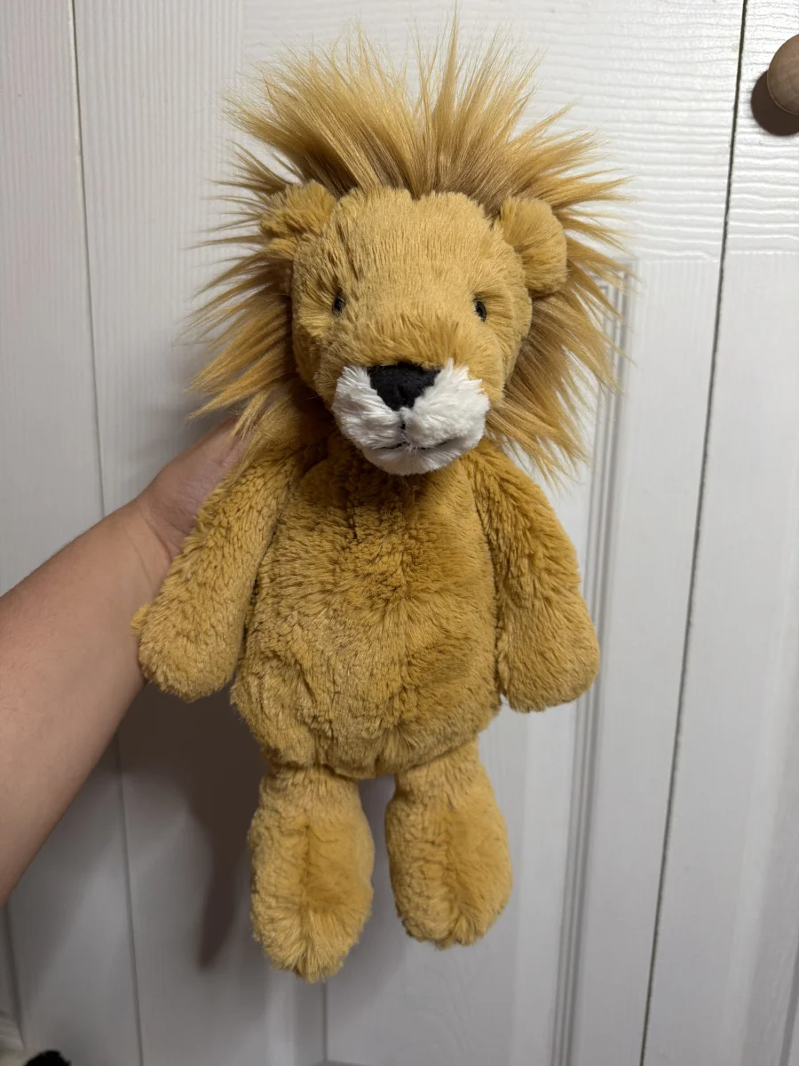 Front - Bashful Lion photo by Anadina’sJellies