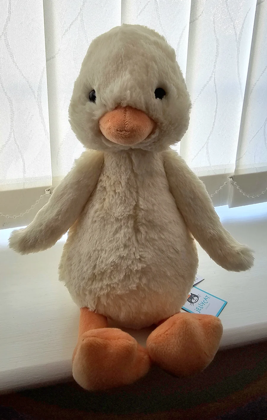 Front - Bashful Duckling photo by cwhbin