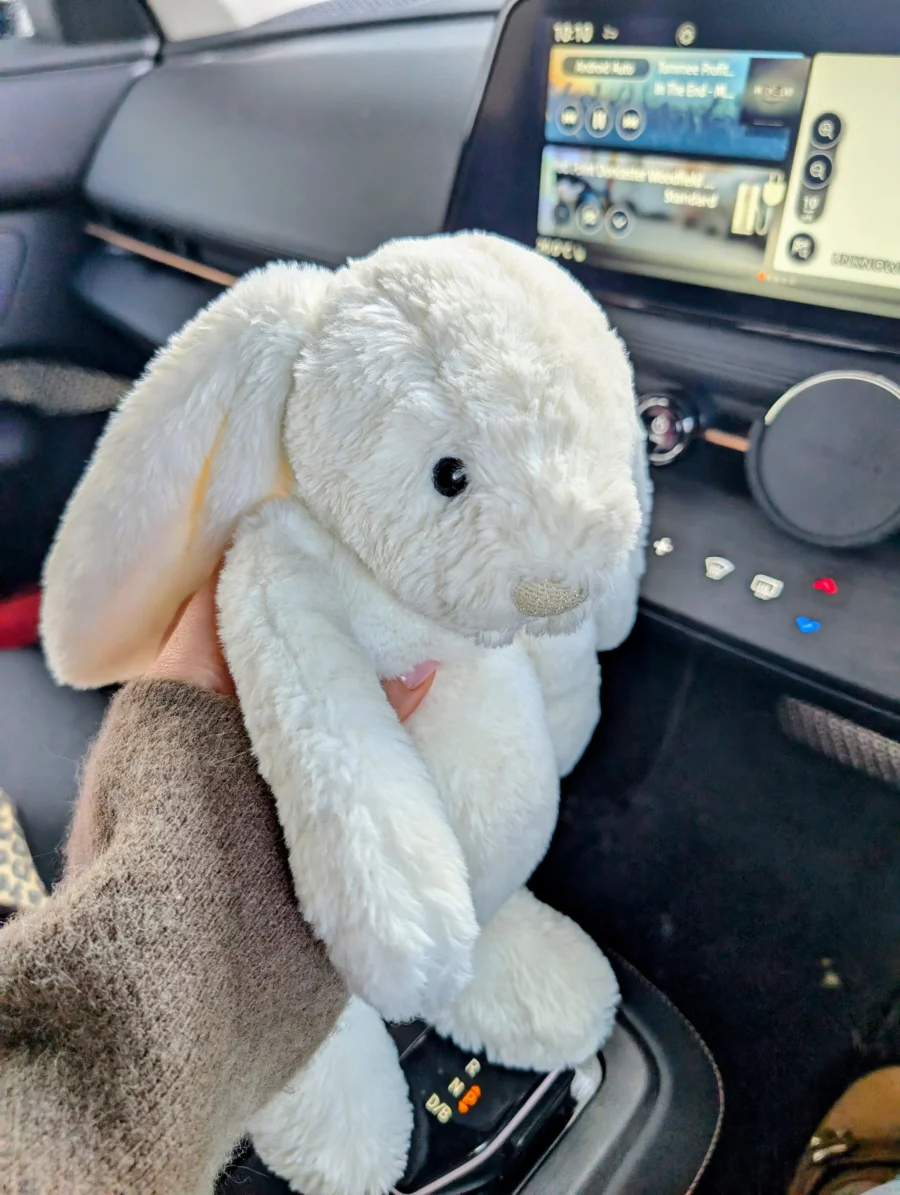 Side - Bashful Luxe Bunny Luna photo by Jelly_shebear