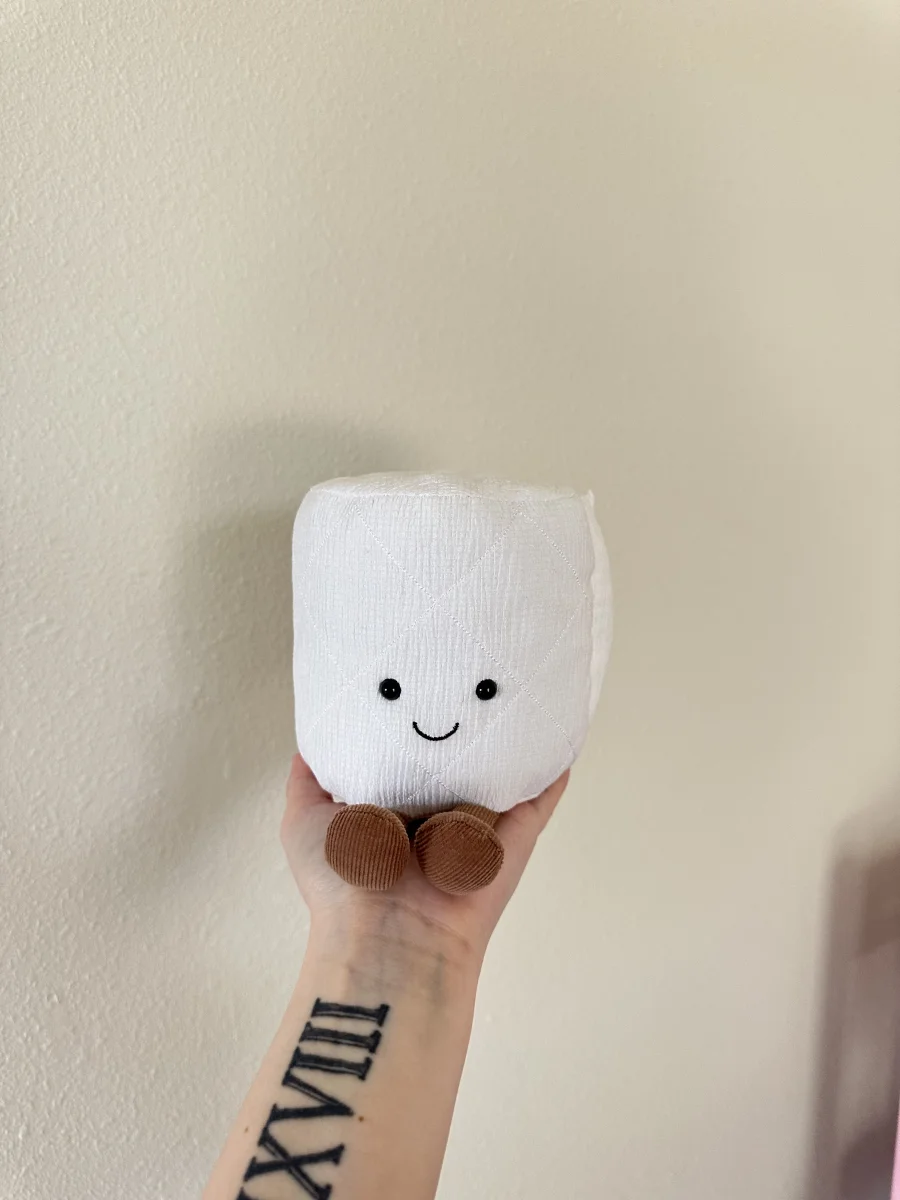 Front - Amuseables Toilet Roll photo by JodysJellies