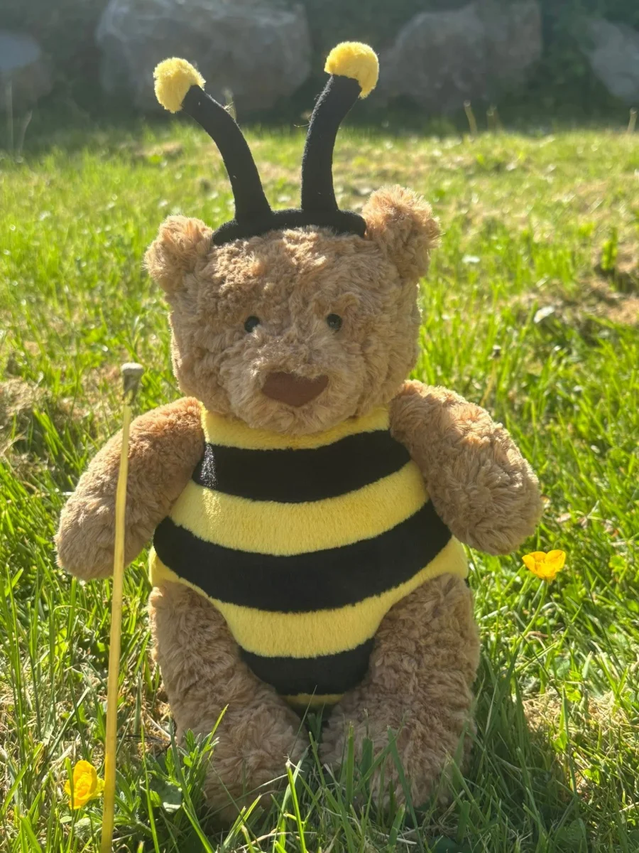 Front - Bartholomew Bear Bumblebee photo by WelshSwiftie