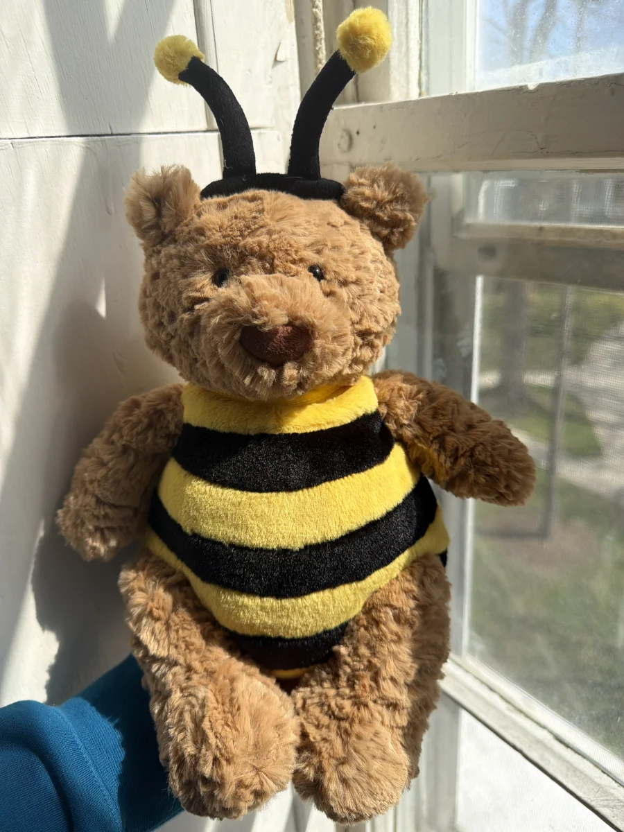 Front - Bartholomew Bear Bumblebee photo by katsjellies