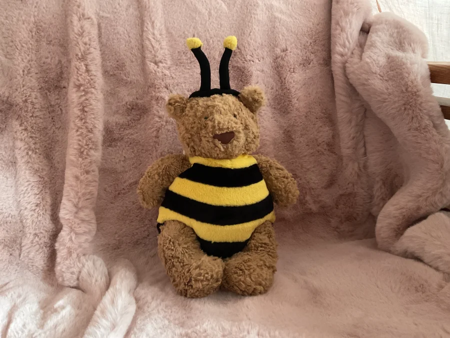 Front - Bartholomew Bear Bumblebee photo by doopsybunny