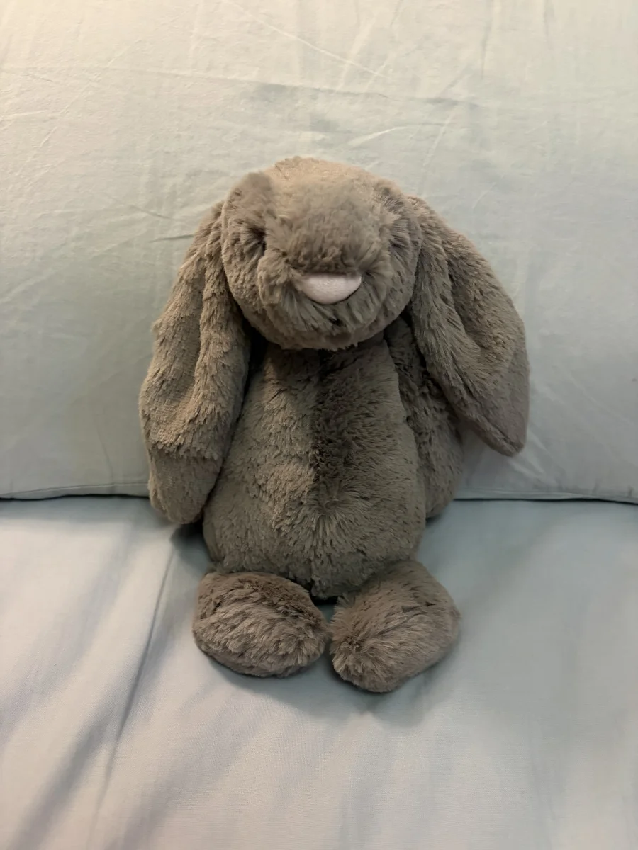 Front - Bashful Truffle Bunny - Medium photo by twigletfitz