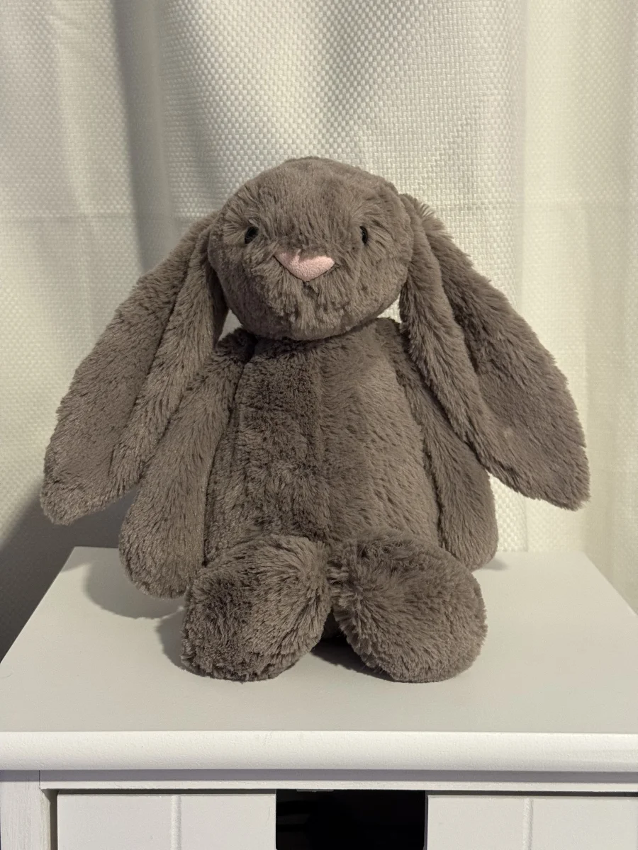Front - Bashful Truffle Bunny - Medium photo by Bunnylove