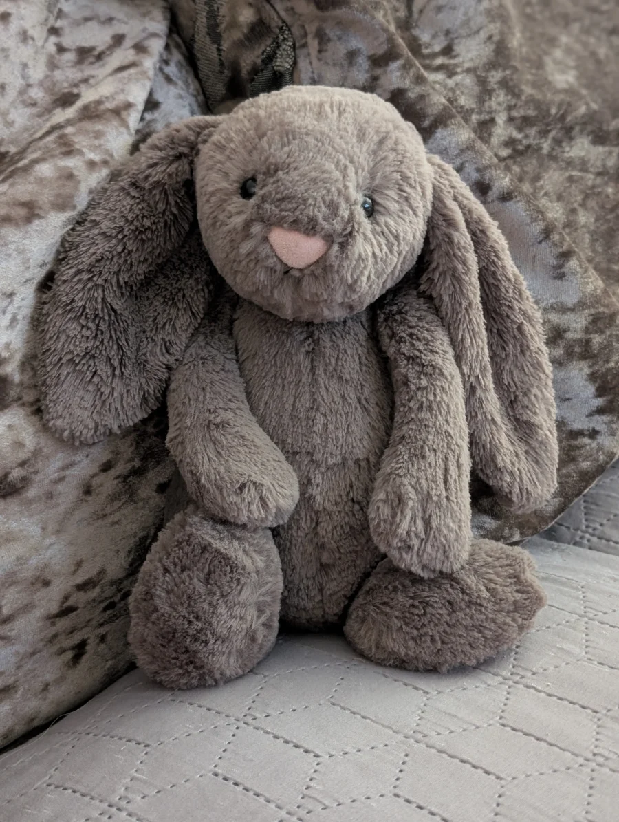 Front - Bashful Truffle Bunny - Medium photo by Jelly_shebear