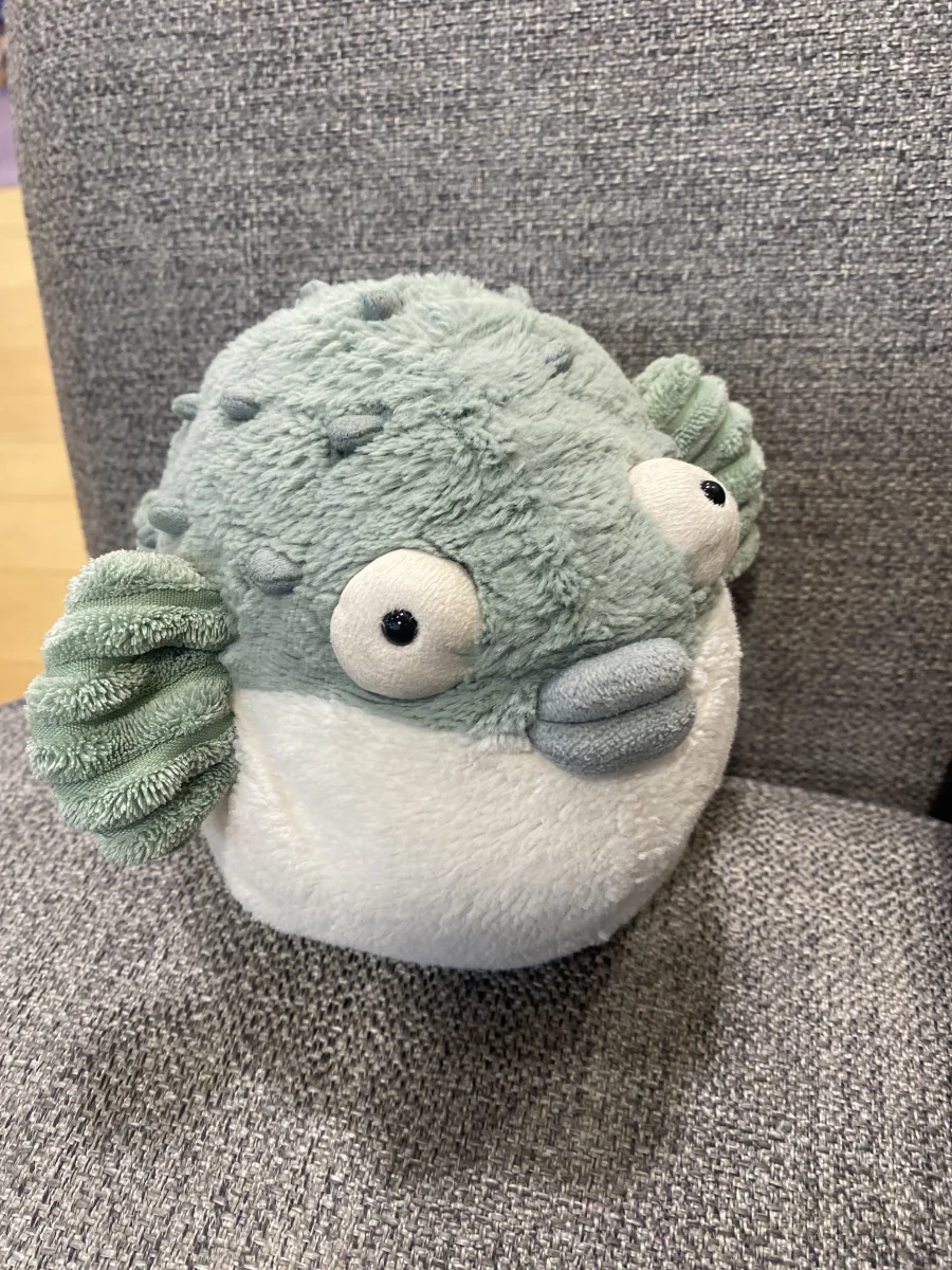 Side - Pacey Pufferfish photo by Nyah