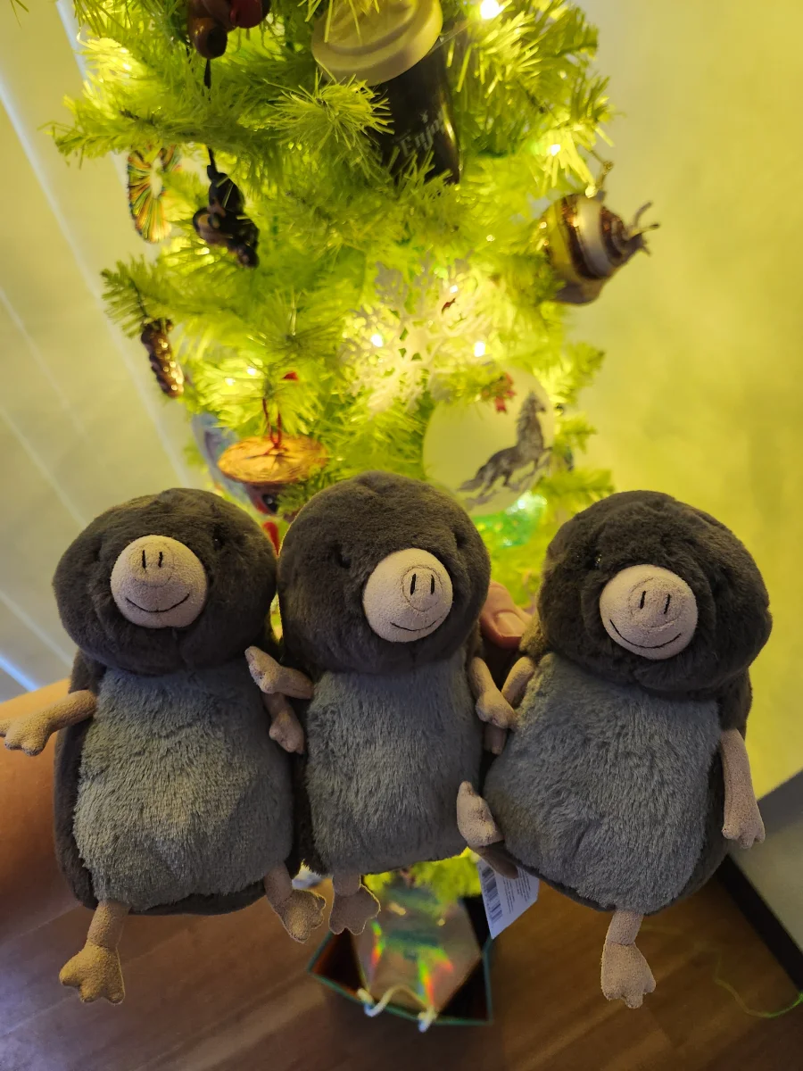 Front - Muswell Mole photo by emilliebee