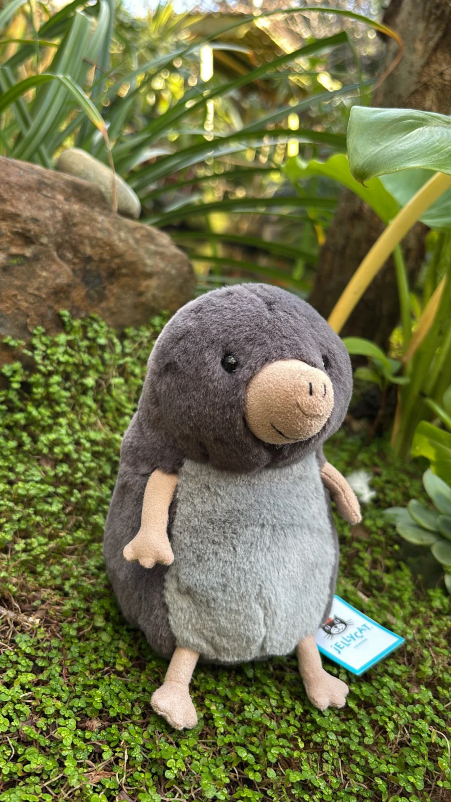 Front - Muswell Mole photo by Jelly_Journey