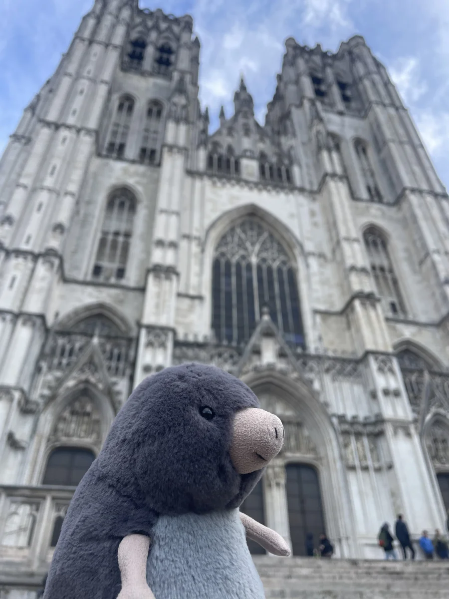 Lifestyle - Muswell Mole photo by ForestStag