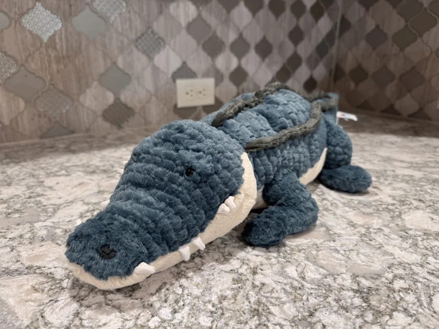 Front - Allexi Alligator photo by SnowLeopard821
