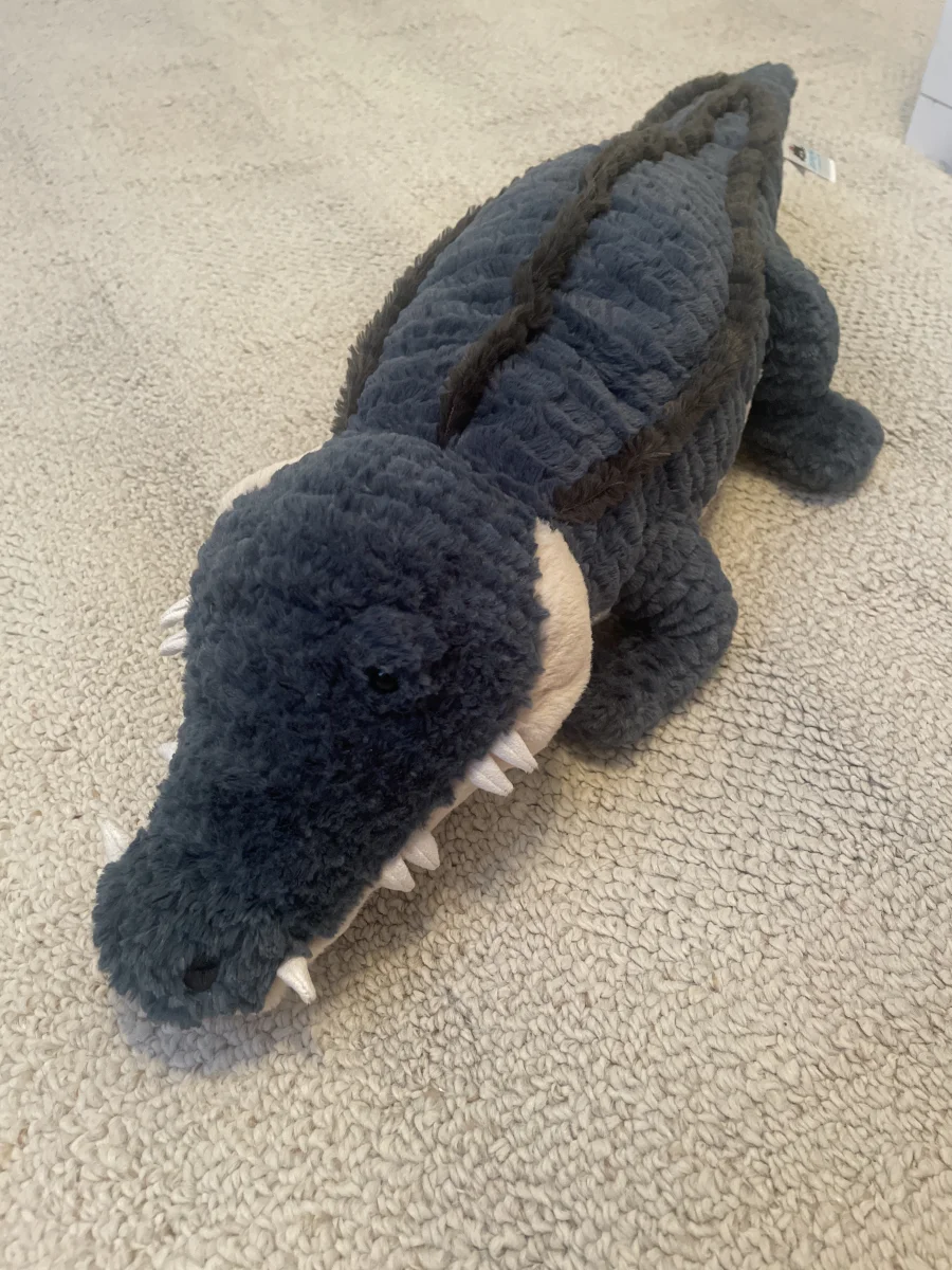 Front - Allexi Alligator photo by Hearts4Saberz
