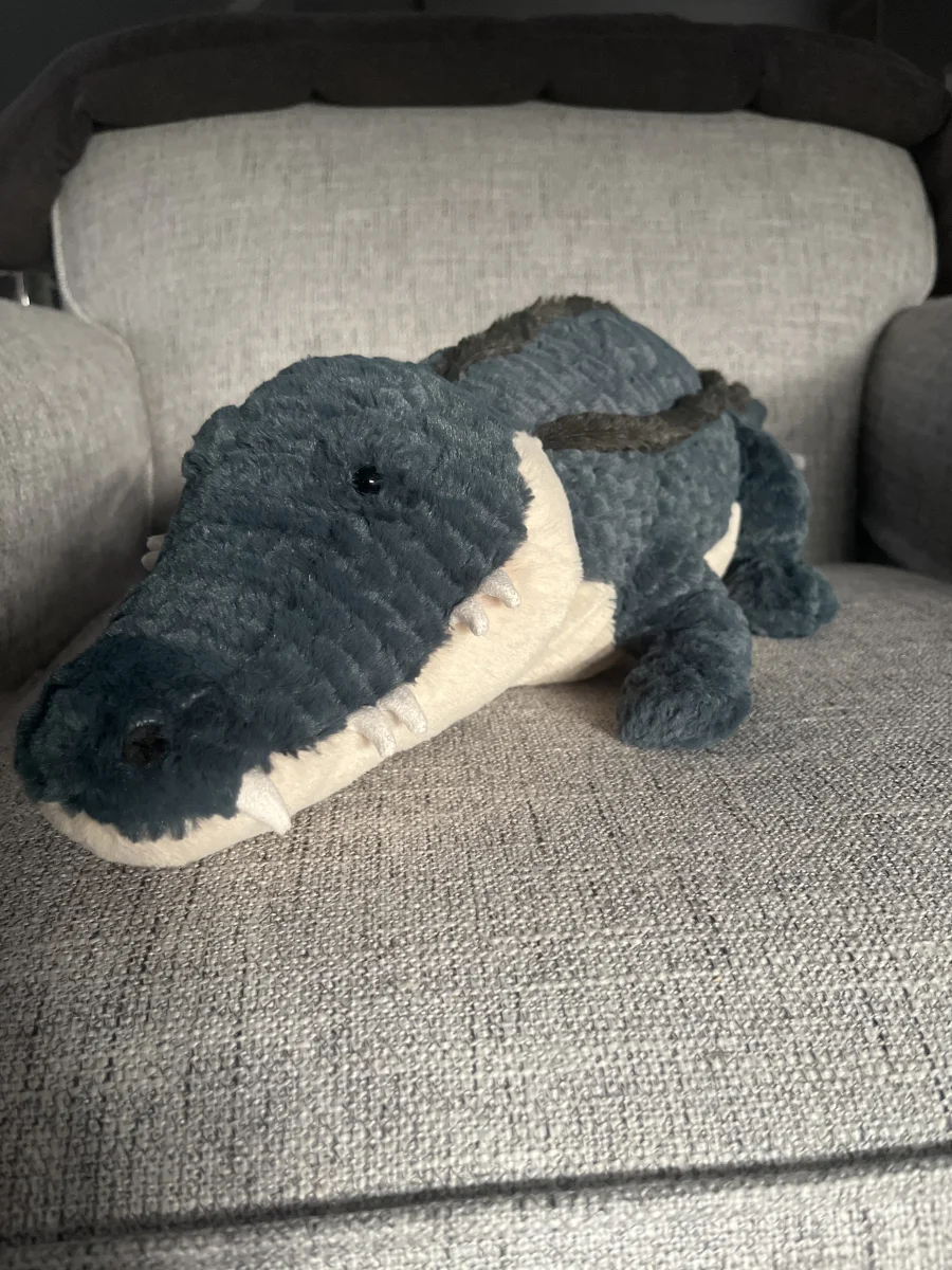 Front - Allexi Alligator photo by McKenna