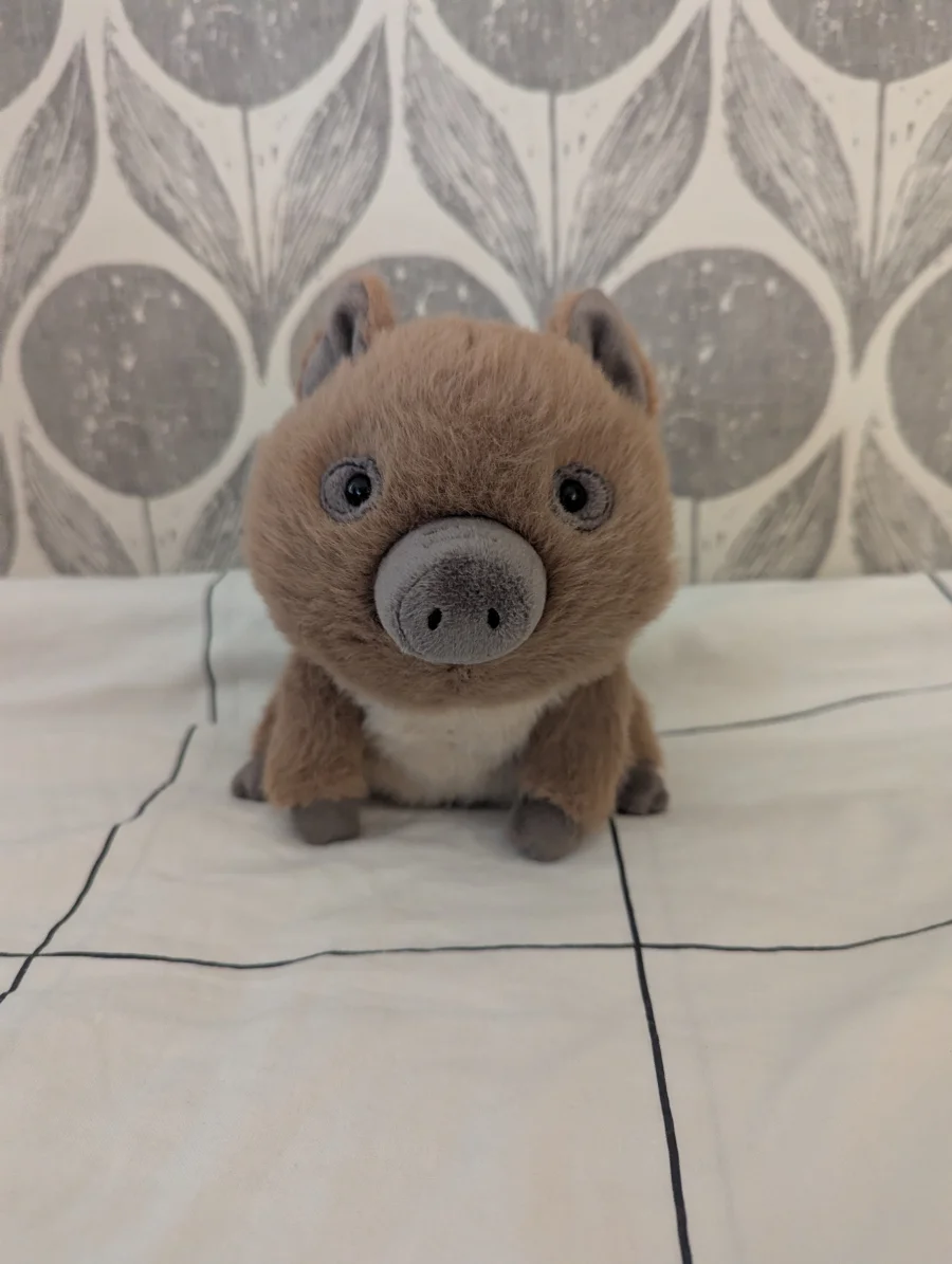 Front - Swinley Boar photo by YAYAYYAYA112231