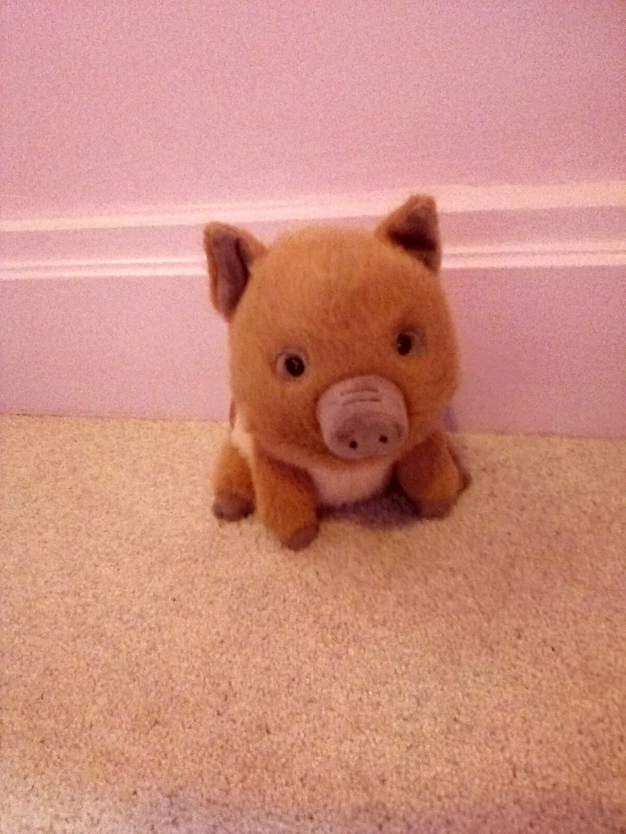 Front - Swinley Boar photo by Jellycatamusabl