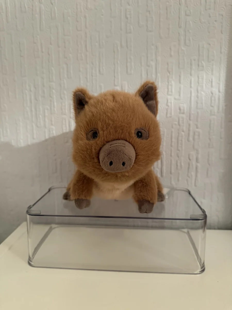 Front - Swinley Boar photo by Bethanyxox