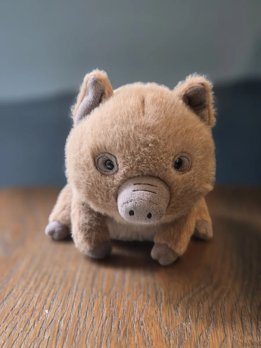 Front - Swinley Boar photo by RoodlesNoodles