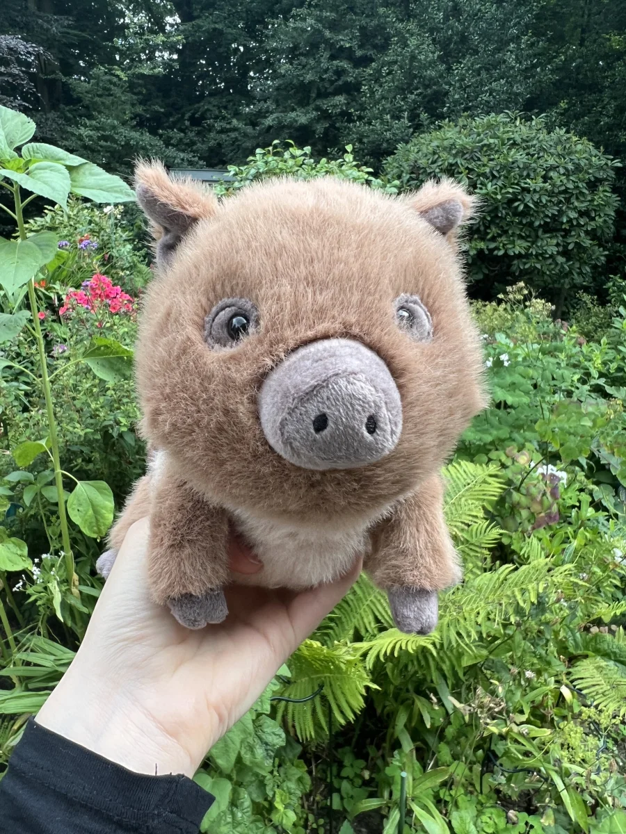 Front - Swinley Boar photo by Alicta